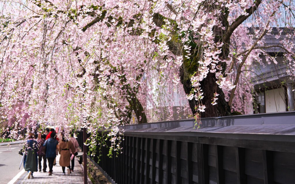 ⛩️ 만송산 텐네이지 (萬松山 天寧寺) 이미지 6